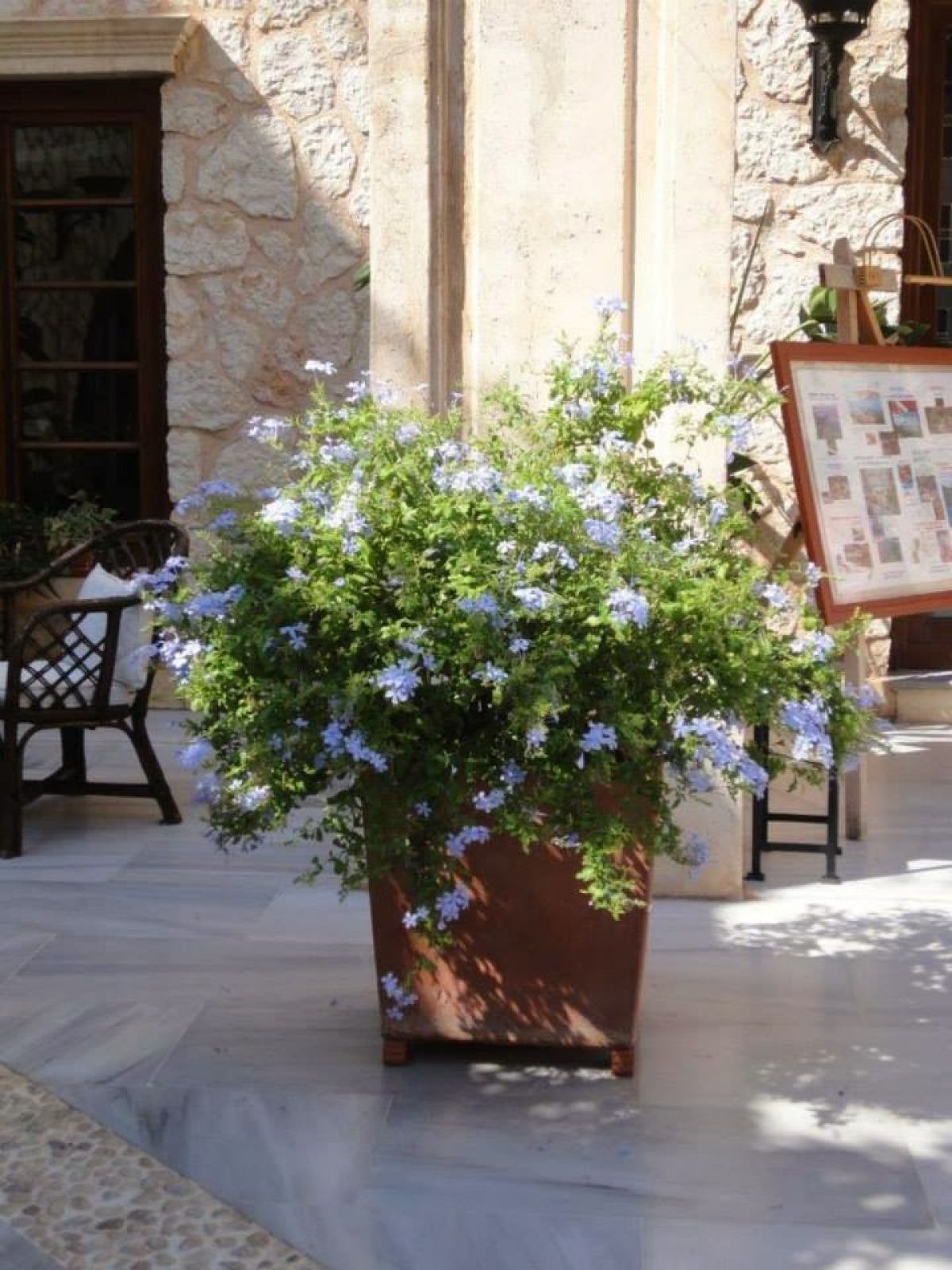 imagini hotel PATARA PRINCE RESORT